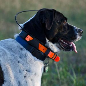 Navigacija za lov - Garmin, TR Dog