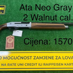 Ata Neo Gray Grade 2 Walnut CAL. 12/76